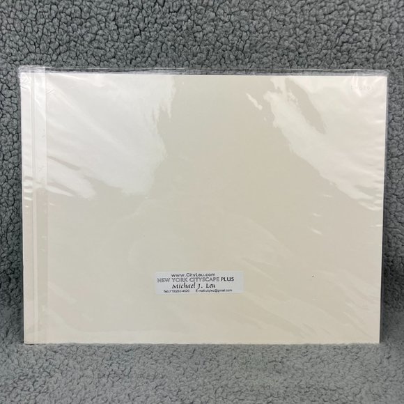 Michael J Leu Art Print SIGNED 300 Cityscape New York City Brooklyn Bridge NYC 1 - Picture 6 of 8